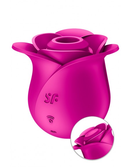 Stimulateur clitoridien Satisfyer Pro 2 Modern Blossom