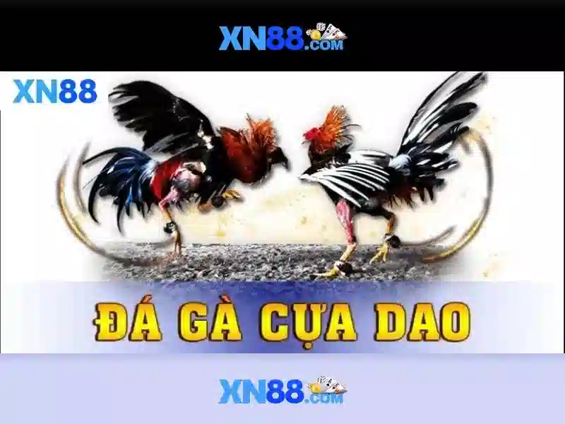 💎ty le keo nha cai .com💎 💎ty le keo nha cai .com💎