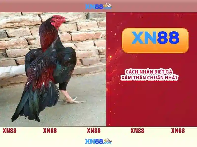 💎888slot slot game download free💎 💎888slot slot game download free💎