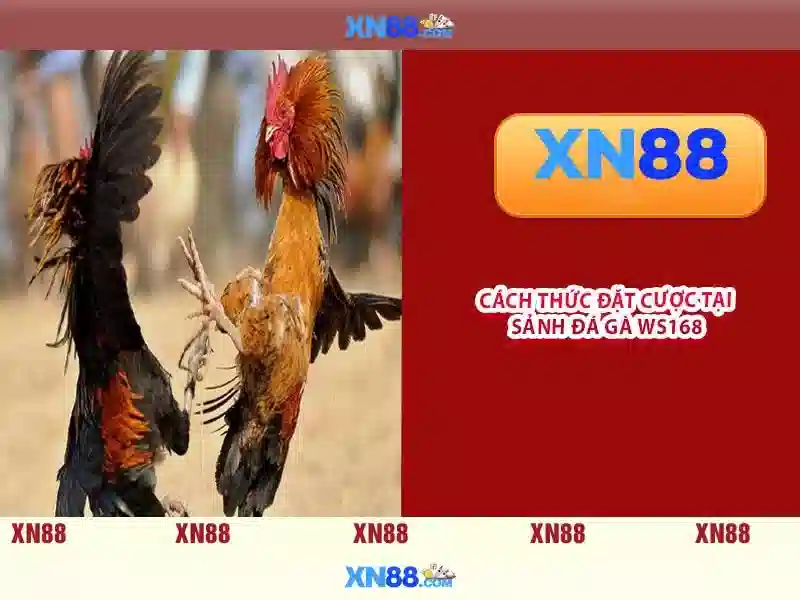 💎cong vinh thuy tien danh bac💎 💎cong vinh thuy tien danh bac💎