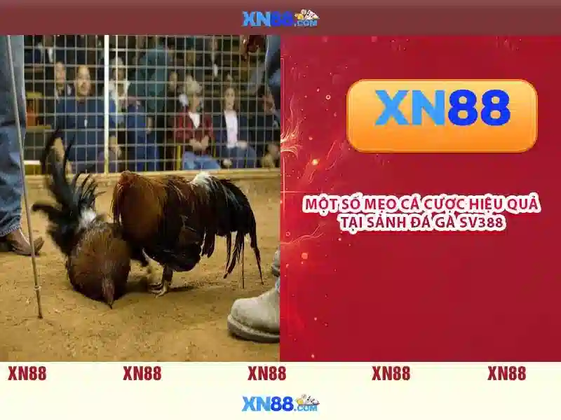 💎xn88 jackpot joker💎 💎xn88 jackpot joker💎