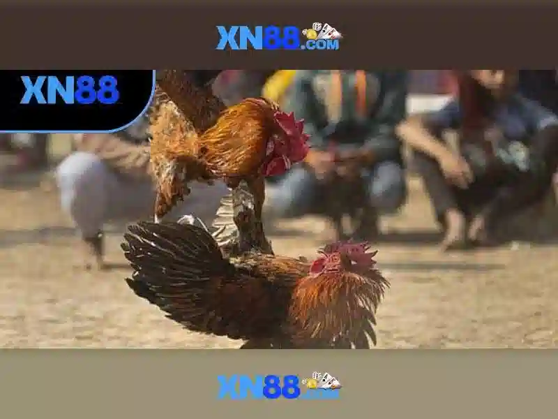 💎888 slot bet casino💎 💎888 slot bet casino💎