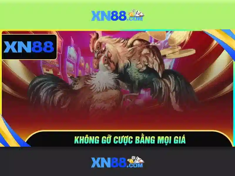 Đăng Ký XN88 – Hướng Dẫn Tạo Tài Khoản Chi Tiết Cho Người Mới - xn88 Đăng Ký XN88 – Hướng Dẫn Tạo Tài Khoản Chi Tiết Cho Người Mới - xn88