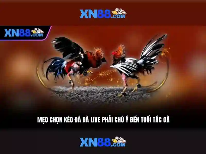 💎buck stakes entertainment online slots💎 💎buck stakes entertainment online slots💎