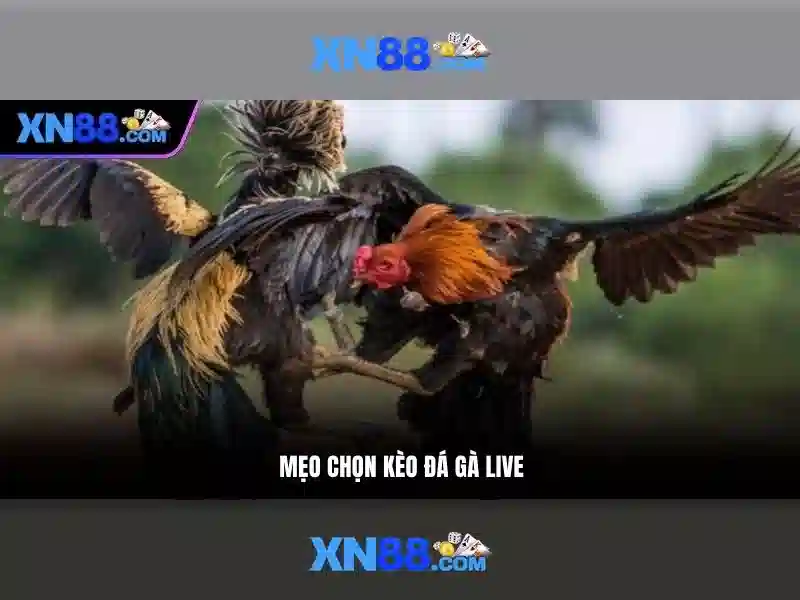 💎top 15 nhà cái uy tín nhất việt💎 💎top 15 nhà cái uy tín nhất việt💎