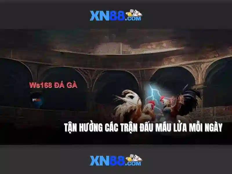 💎free slots and video poker💎 💎free slots and video poker💎