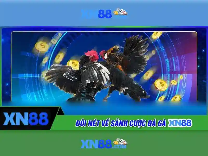 💎wms slots website💎 💎wms slots website💎