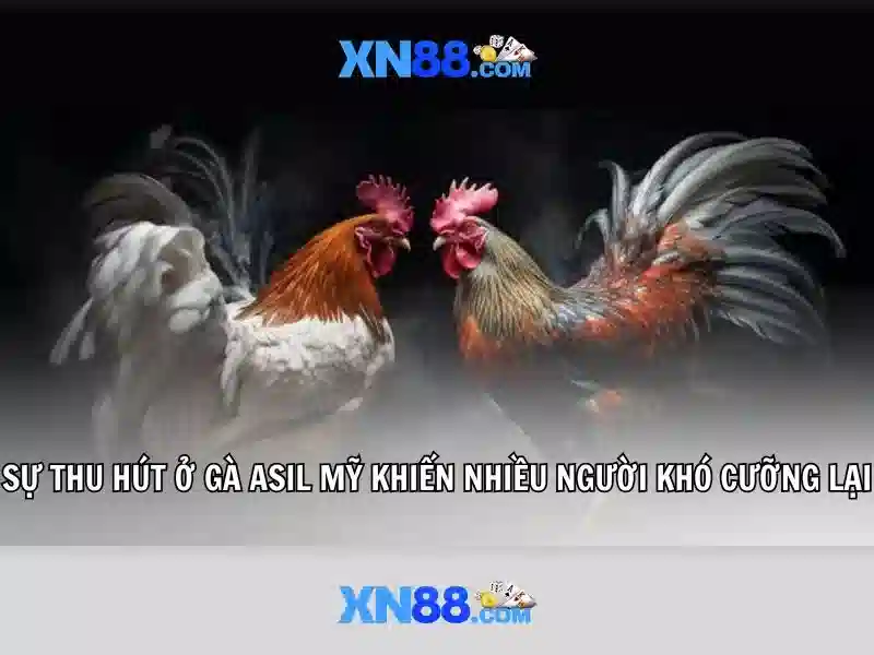 💎so sánh dây cước và dây dù câu cá💎 💎so sánh dây cước và dây dù câu cá💎