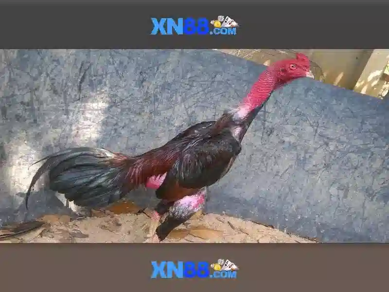 💎hb88 khuyen mai💎 - bài đánh giá về hb88 - hb88 sân chơi trực tuyến 💎hb88 khuyen mai💎 - bài đánh giá về hb88 - hb88 sân chơi trực tuyến