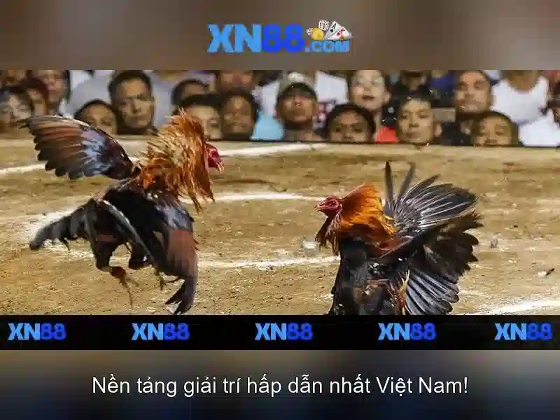 💎xem bong da trực tiep keo nha cai💎 💎xem bong da trực tiep keo nha cai💎