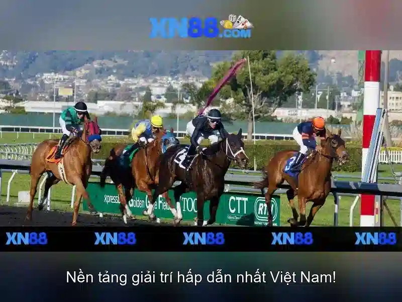 💎trang cá cược bong đa💎 💎trang cá cược bong đa💎