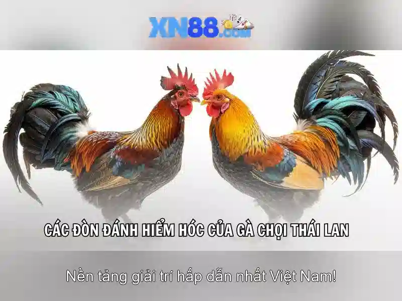 💎keo nha cai tay ban nha duc💎 💎keo nha cai tay ban nha duc💎