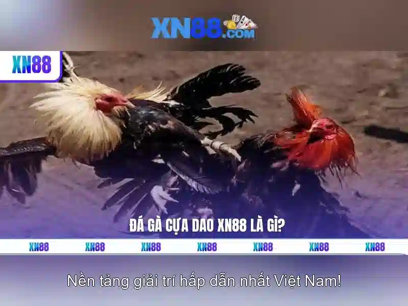 💎nhà cái tặng tiền bones uk top 15💎 💎nhà cái tặng tiền bones uk top 15💎