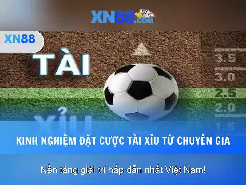 💎nhà cái đá gà uy tín top 12💎 💎nhà cái đá gà uy tín top 12💎