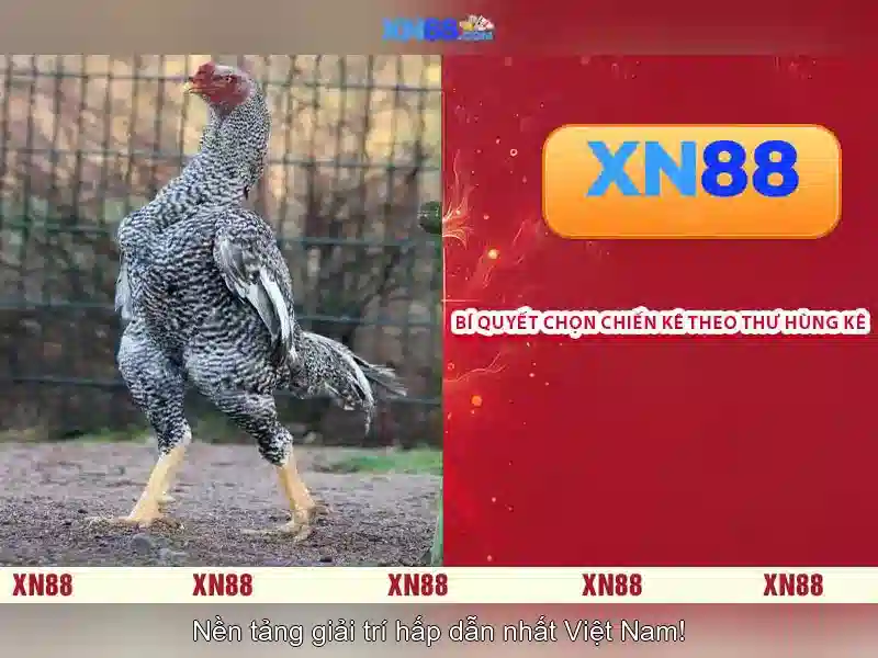 💎888 slot slot nationality💎 💎888 slot slot nationality💎