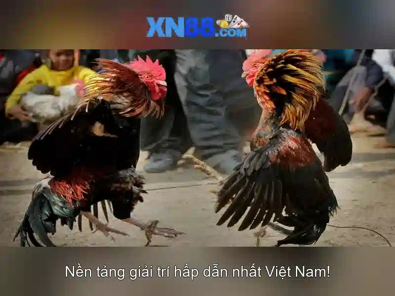 💎what is slot antenna💎 💎what is slot antenna💎