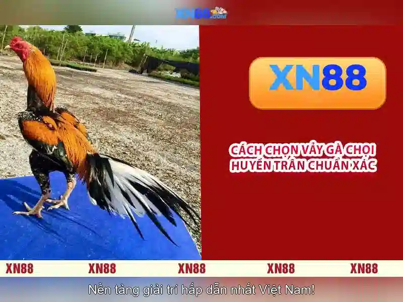 💎hack open slot💎 💎hack open slot💎