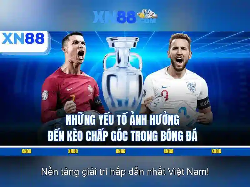 💎nhà cái 188 bet vui💎 💎nhà cái 188 bet vui💎