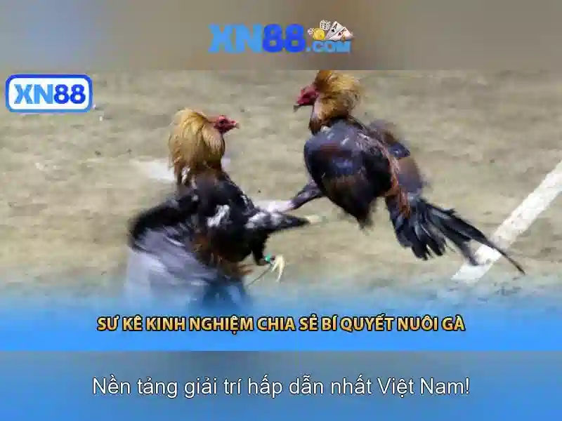 💎xn88 100 free💎 💎xn88 100 free💎