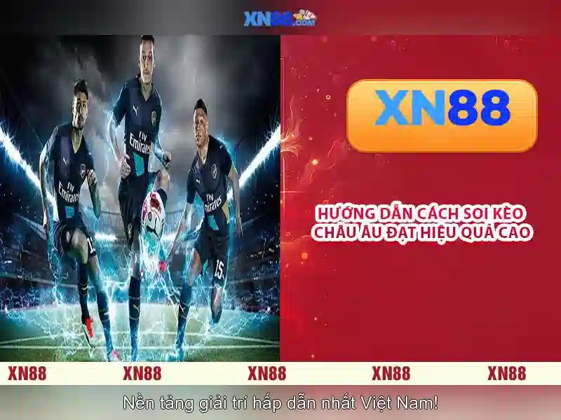 💎keo nha cai 95.111💎 💎keo nha cai 95.111💎