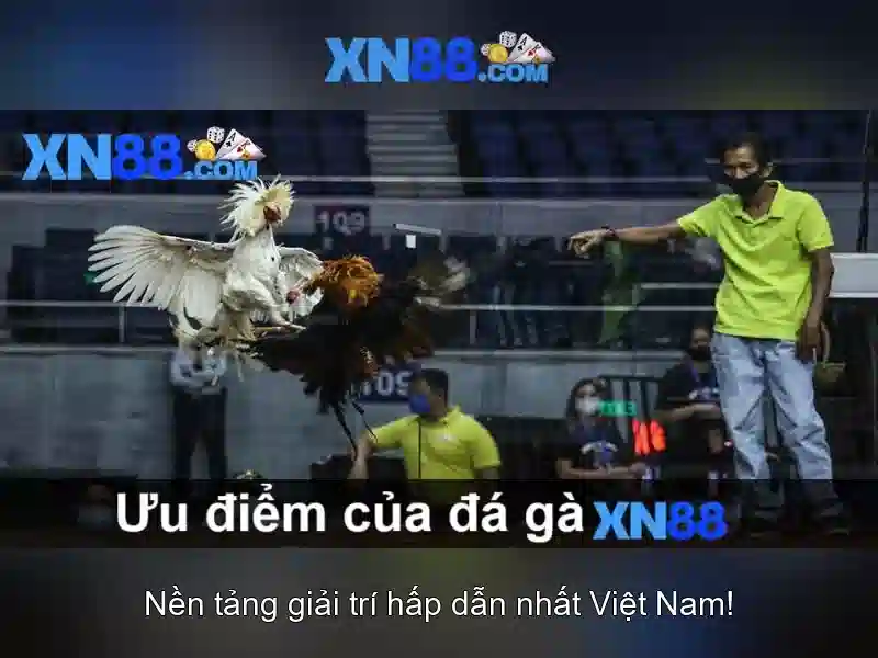 💎cá cược vào bạn bl💎 💎cá cược vào bạn bl💎