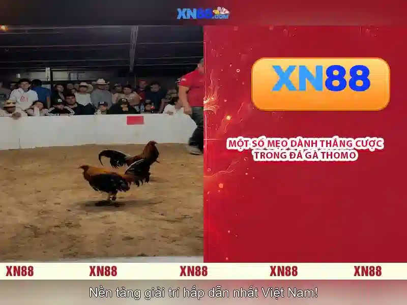 💎888slot slots demo💎 💎888slot slots demo💎